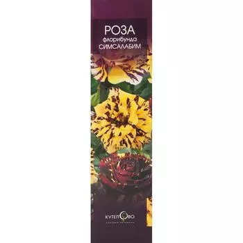 Роза Флорибунда «Сим Салабим» в коробке