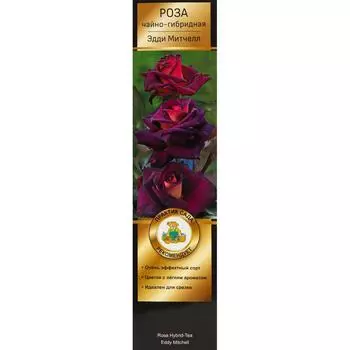 Роза Мейян чайно-гибридная «Эдди Митчел»