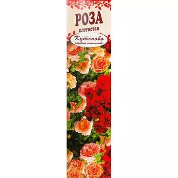 Роза плетистая «Шнеевальцер» в коробке