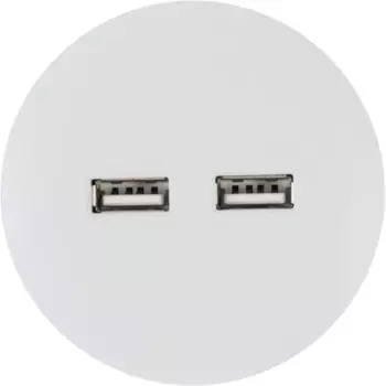 Розетка для трека 2 USB 2.1 цвет белый