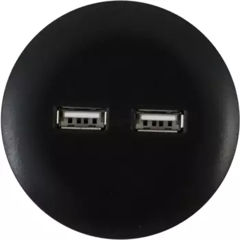 Розетка для трека 2 USB 2.1 цвет чёрный