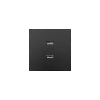 Розетка двойная USB встраиваемая Lezard Zima без заземления цвет черный бархат