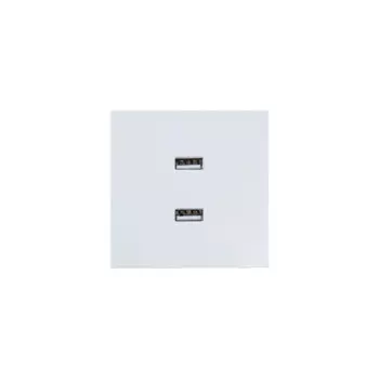 Розетка двойная USB встраиваемая Lezard Zima без заземления цвет белый