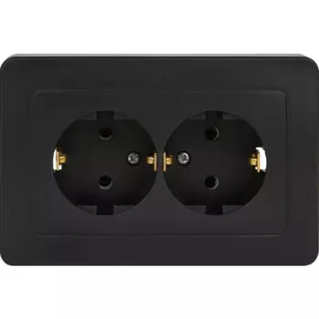 Розетка двойная встраиваемая Hegel Мастер с заземлением цвет черный