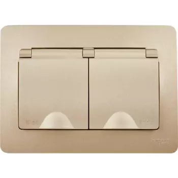 Розетка двойная встраиваемая Systeme Electric Blanca 16 А IP44 цвет титановый