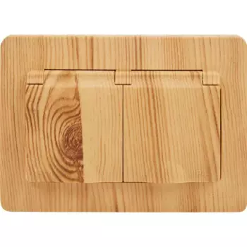 Розетка двойная встраиваемая Systeme Electric Blanca 16 А IP44 цвет ясень