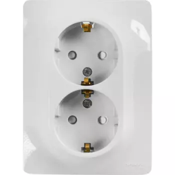 Розетка двойная встраиваемая Systeme Electric Glossa с заземлением со шторками в сборе цвет белый