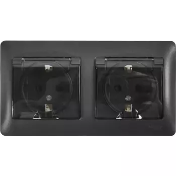 Розетка двойная встраиваемая влагозащищенная Systeme Electric Glossa с заземлением со шторками IP44 в сборе цвет антрацит