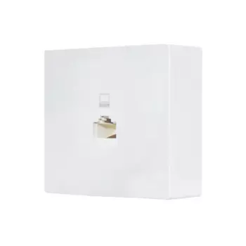 Розетка компьютерная Lezard Leto без заземления цвет белый