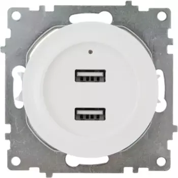 Розетка Onekeyelectro USB двойная встраиваемая с подсветкой цвет белый