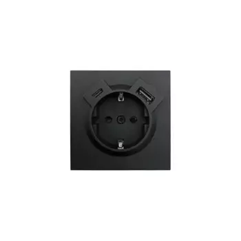Розетка TC и USB встраиваемая Lezard Zima с заземлением цвет черный бархат
