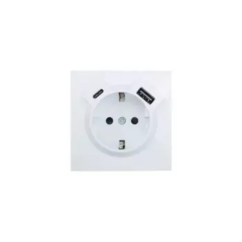 Розетка TC и USB встраиваемая Lezard Zima с заземлением цвет белый