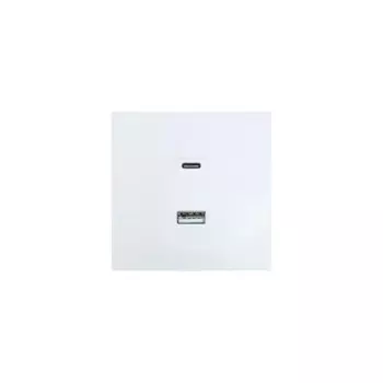 Розетка TC и USB встраиваемая Lezard Zima без заземления цвет белый