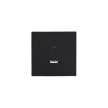 Розетка TC и USB встраиваемая Lezard Zima без заземления цвет черный бархат