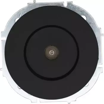 Розетка телевизионная встраиваемая Osen цвет черный бархат