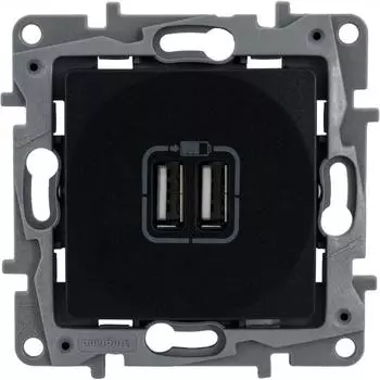 Розетка USB двойная встраиваемая Legrand Etika, антрацит