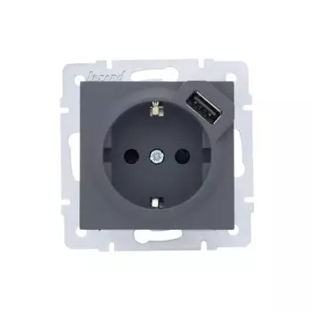 Розетка USB двойная встраиваемая Lezard Vesna 742-3488-181 с заземлением цвет графит
