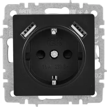 Розетка USB встраиваемая IEK Brite РЮш10-1-БрЧ с заземлением цвет черный