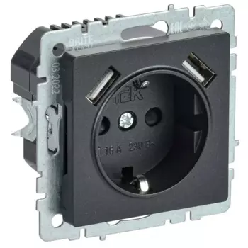 Розетка USB встраиваемая IEK Brite РЮш10-2-БрЧ с заземлением цвет черный