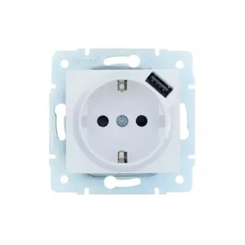 Розетка USB встраиваемая Lezard Asti с заземлением цвет белый