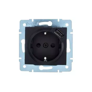 Розетка USB встраиваемая Lezard Asti с заземлением цвет черный бархат