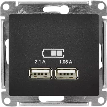 Розетка USB встраиваемая Systeme Electric Glossa цвет антрацит