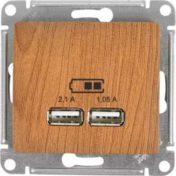 Розетка USB встраиваемая Systeme Electric Glossa цвет дуб