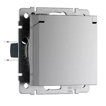 Розетка Werkel W1171206 серебряная