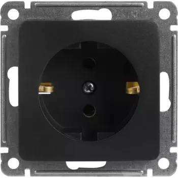 Розетка встраиваемая Hegel Мастер с заземлением цвет черный