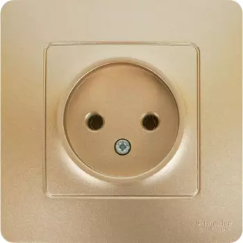 Розетка встраиваемая Systeme Electric Blanca без заземления без шторок цвет титановый