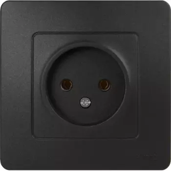 Розетка встраиваемая Systeme Electric Blanca без заземления цвет антрацит