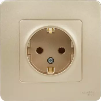 Розетка встраиваемая Systeme Electric Blanca с заземлением без шторок 16 А цвет титановый