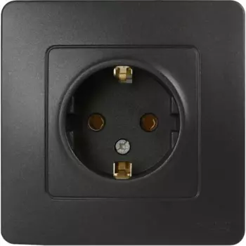 Розетка встраиваемая Systeme Electric Blanca с заземлением цвет антрацит