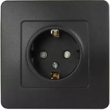 Розетка встраиваемая Systeme Electric Blanca с заземлением со шторками цвет антрацит