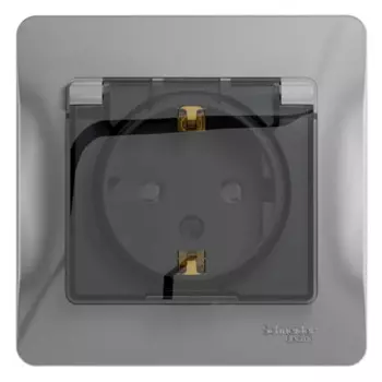 Розетка встраиваемая влагозащищенная Systeme Electric Glossa с заземлением с крышкой и шторками IP44 цвет алюминий