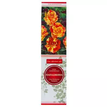 Розы флорибунда «Пападжина»