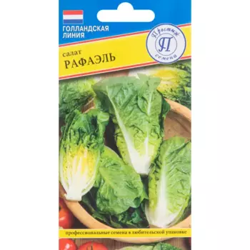 Салат Рафаэль 10 шт.