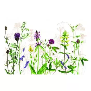 Салфетка сервировочная «Клевер» 26x41 см