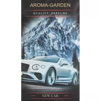Саше ароматическое Новая машина 12 г