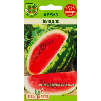 Семена Арбуз «Холодок»