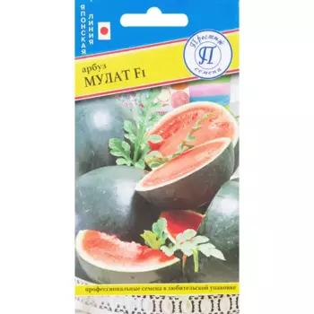 Семена Арбуз «Мулат» F1