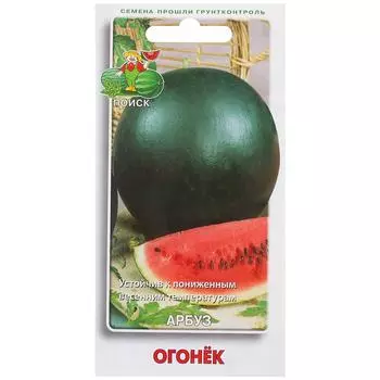Семена Арбуз «Огонёк»