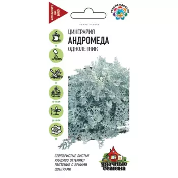 Семена Цинерария Андромеда