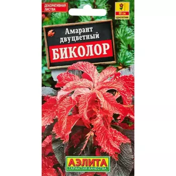 Семена цветов Аэлита амарант Биколор