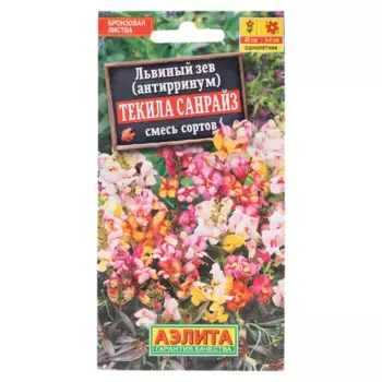 Семена цветов Аэлита антирринум львиный зев Текила Санрайз
