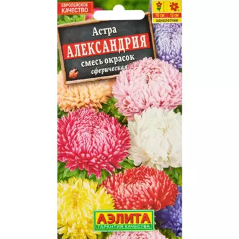Семена цветов Аэлита астра Александрия
