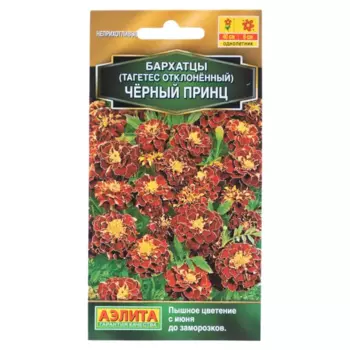 Семена цветов Аэлита бархатцы Черный принц