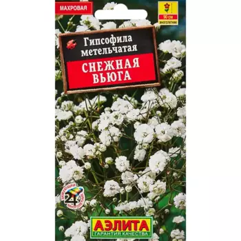Семена цветов Аэлита гипсофила махровая Снежная вьюга
