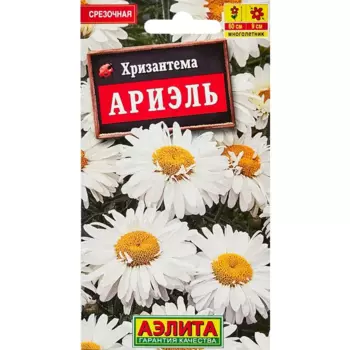 Семена цветов Аэлита хризантема Ариэль