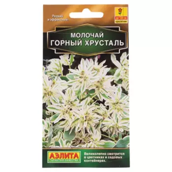 Семена цветов Аэлита молочай Горный хрусталь
